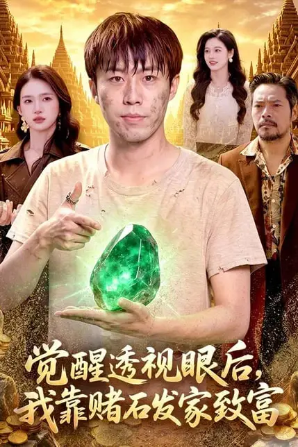 《觉醒透视眼后,我靠赌石发家致富》封面