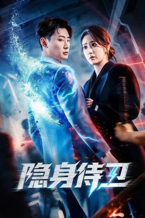 《隐身侍卫》封面