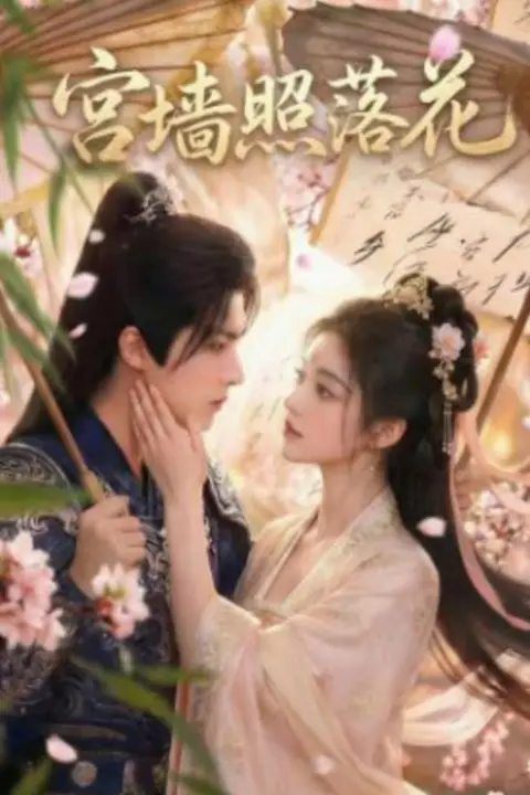 《宫墙照落花》封面