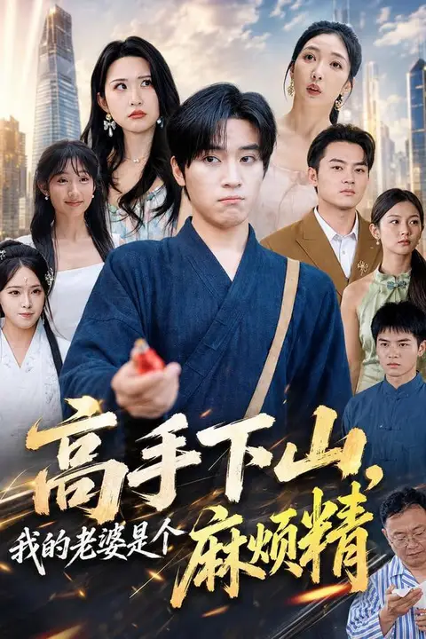 《高手下山,我的老婆是个麻烦精》封面