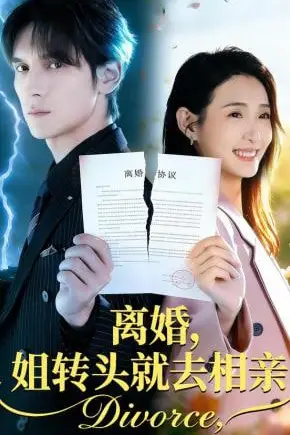 《离婚,姐转头就去相亲》封面