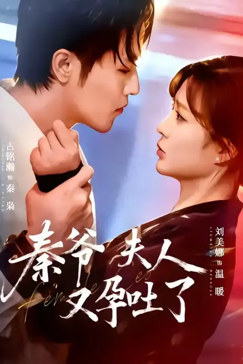 《秦爷夫人又孕吐了》封面