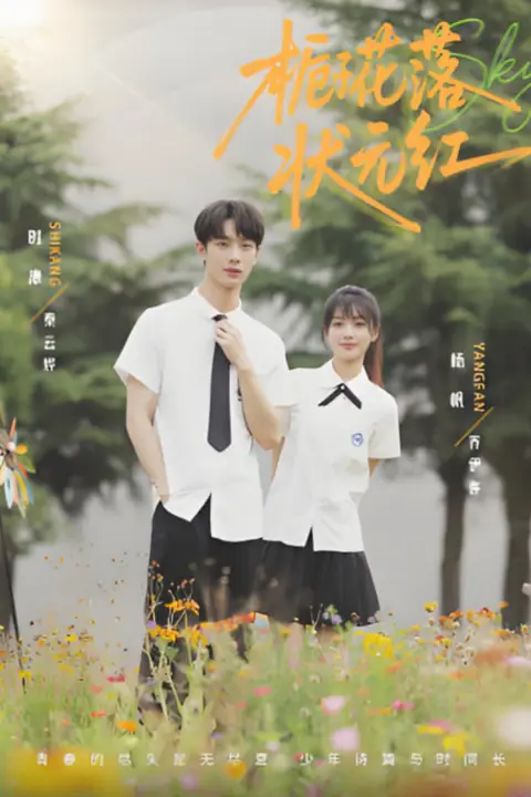 《栀子花落状元红》封面