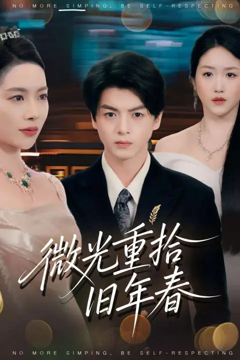 《微光重拾旧年春》封面
