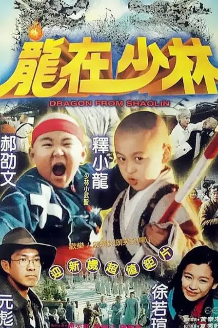 《龙在少林》封面