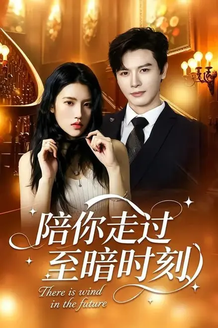 《陪你走过至暗时刻》封面