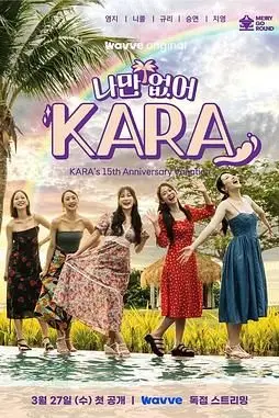 《只有没有我 KARA》封面