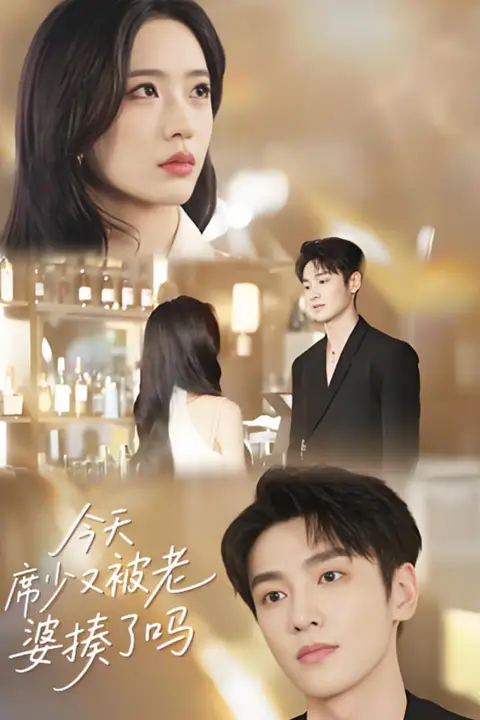 《今天席少又被老婆揍了吗》封面
