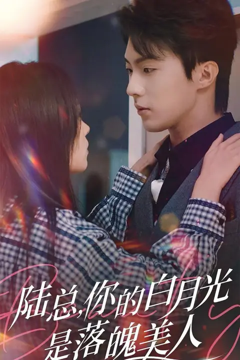 《陆总你的白月光是落魄美人》封面