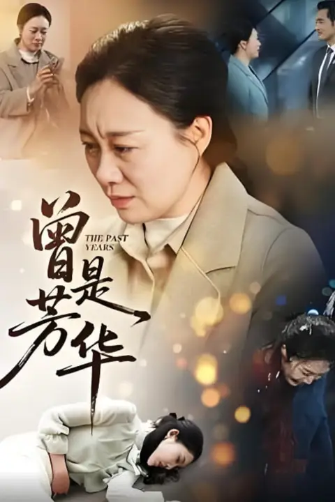 《曾是芳华》封面