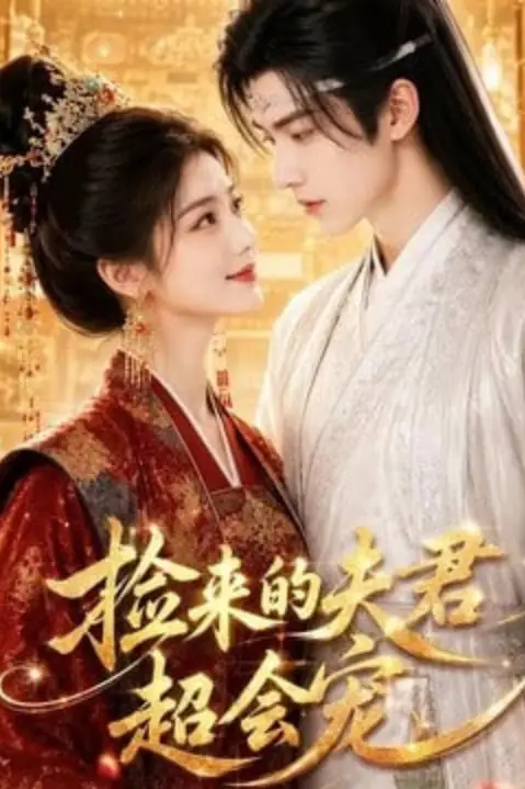 《捡来的夫君超会宠》封面