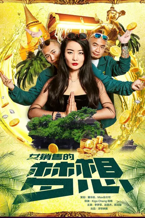 《女销售的梦想》封面