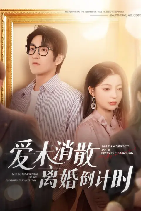 《爱未消散离婚倒计时》封面