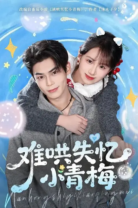 《难哄失忆小青梅》封面