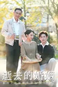 《逝去的婚姻》封面