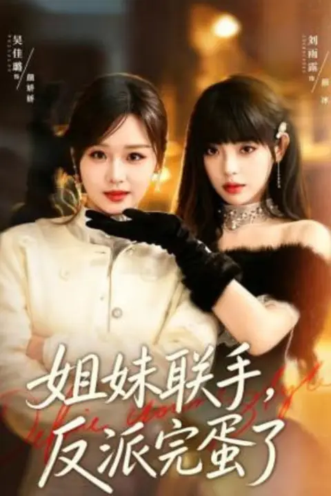 《姐妹联手，反派完蛋了》封面