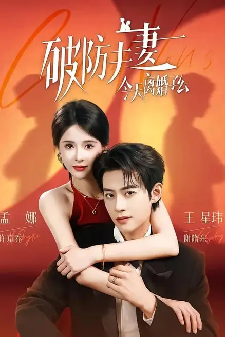 《破防夫妻今天离婚了么》封面