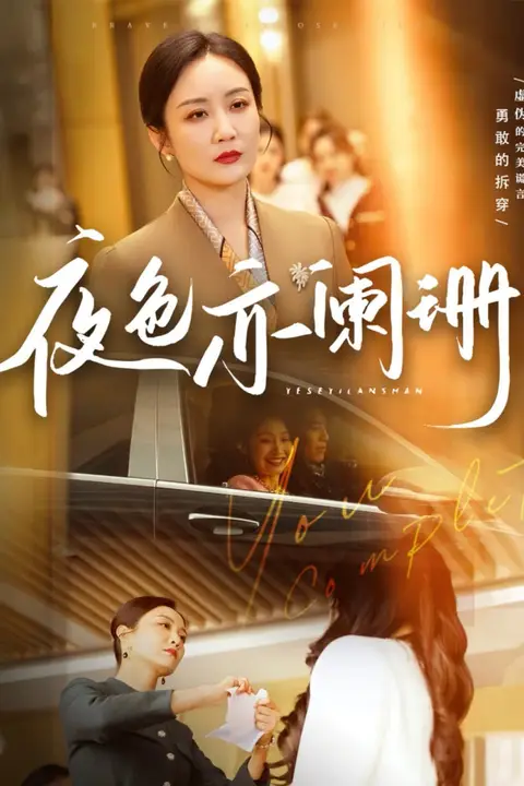 《夜色亦阑珊》封面