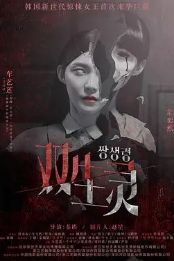 《双生灵》封面