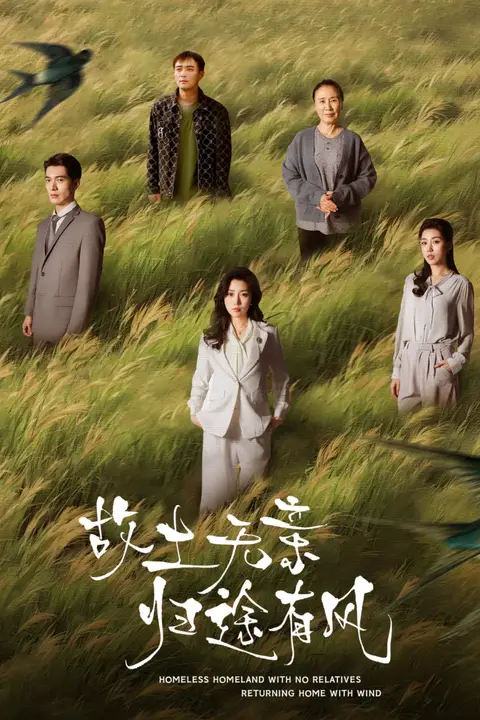 《故土无亲归途有风》封面