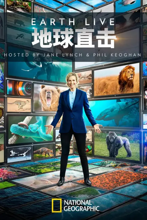 《地球直击》封面