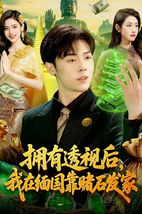 《拥有透视后,我在缅国靠赌石发家》封面