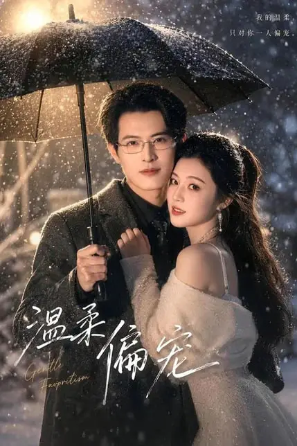 《温柔偏宠》封面
