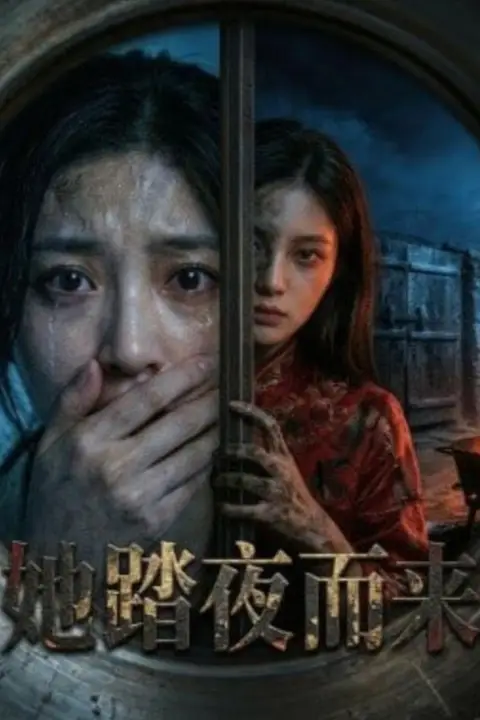 《她踏夜而来》封面