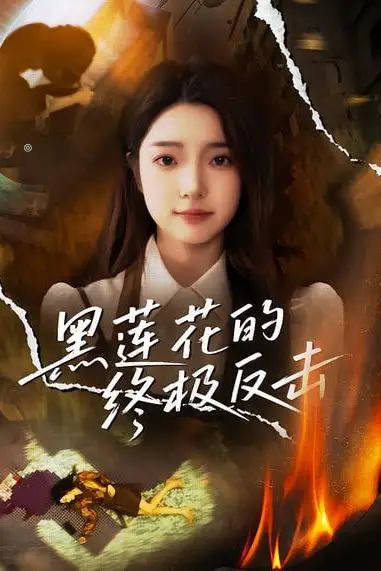 《黑莲花的终极反击》封面