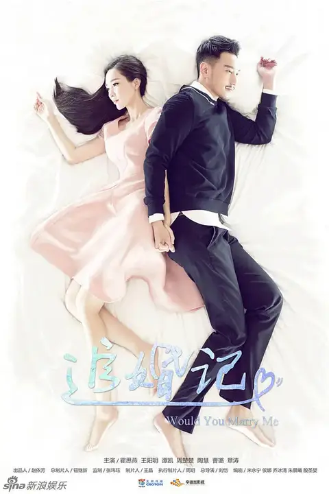 《追婚记》封面