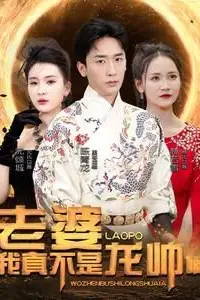 《老婆我真不是龙帅啊》封面