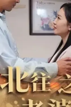 《南来北往之老婆别哭》封面