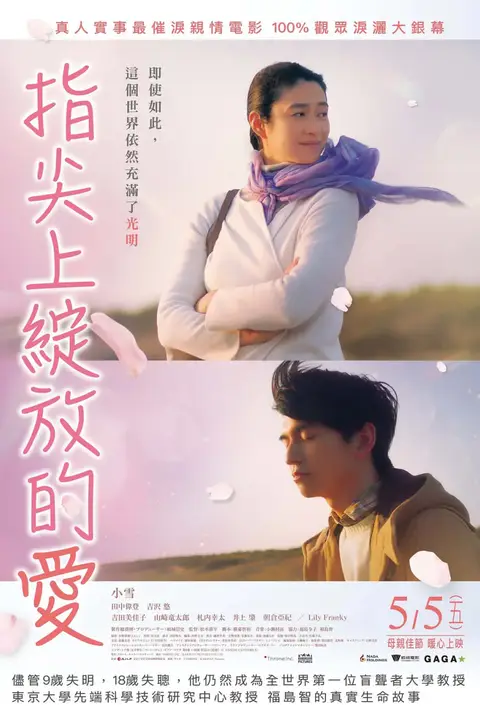 《风临樱花开》封面