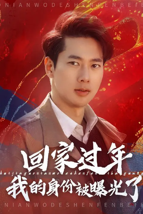 《回家过年我的身份被曝光了》封面