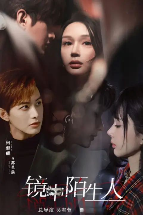 《镜中陌生人》封面