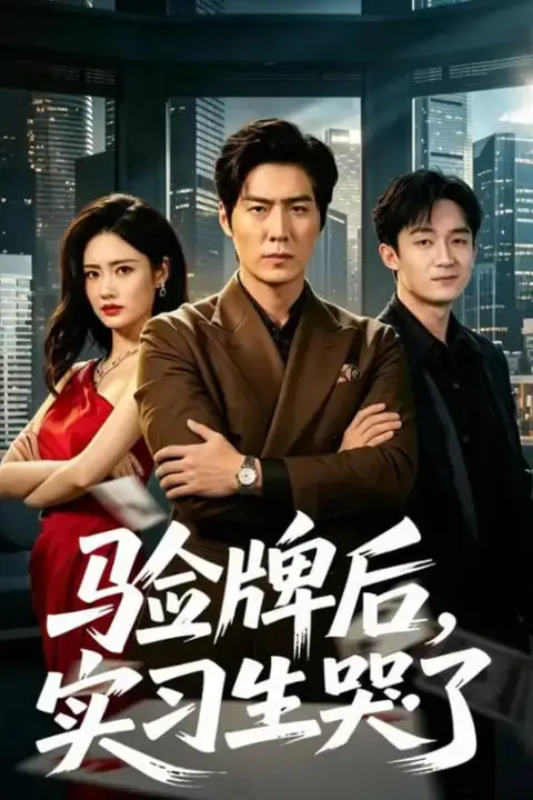 《验牌后,实习生哭了》封面