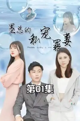 《墨总的私宠罪妻》封面