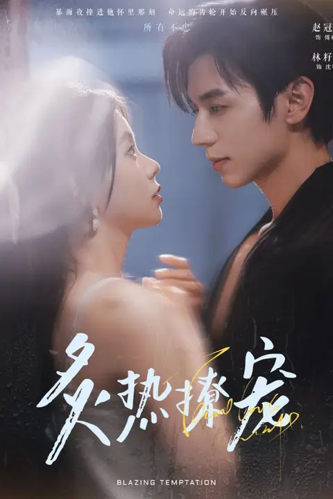 《炙热撩宠》封面