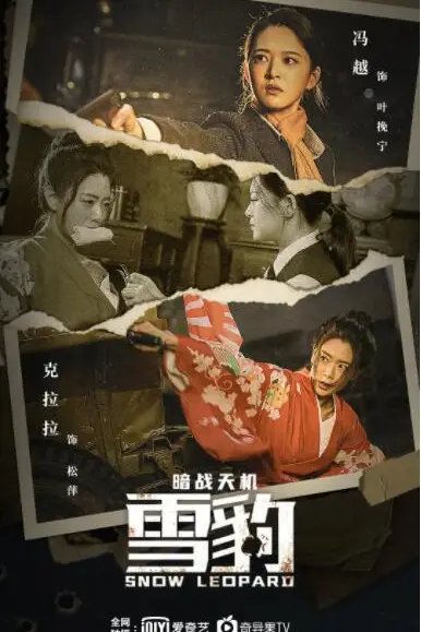 《雪豹之暗战天机》封面