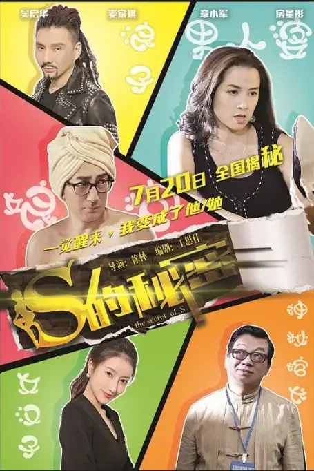 《S的秘密》封面