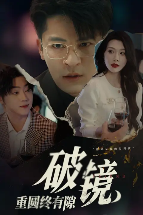 《破镜重圆终有隙》封面