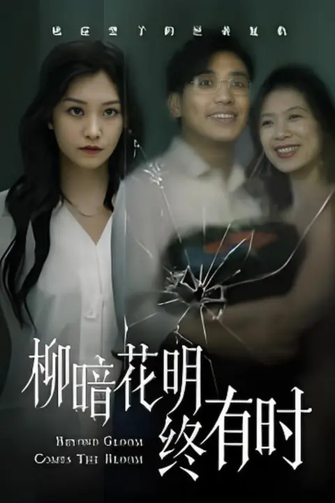 《柳暗花明终有时》封面