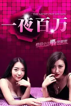 《一夜百万》封面