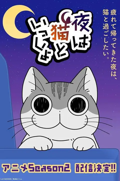 《关于养猫我一直是新手 第二季》封面