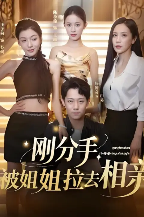 《刚分手被姐姐拉去相亲(分手被姐姐拉去相亲)》封面