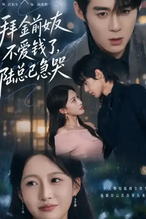 《拜金前女友不爱钱了,陆总已急哭》封面