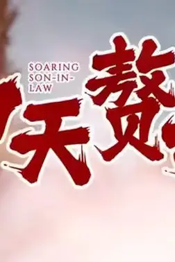 《冲天赘婿》封面
