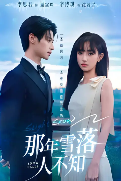 《那年雪落人不知》封面