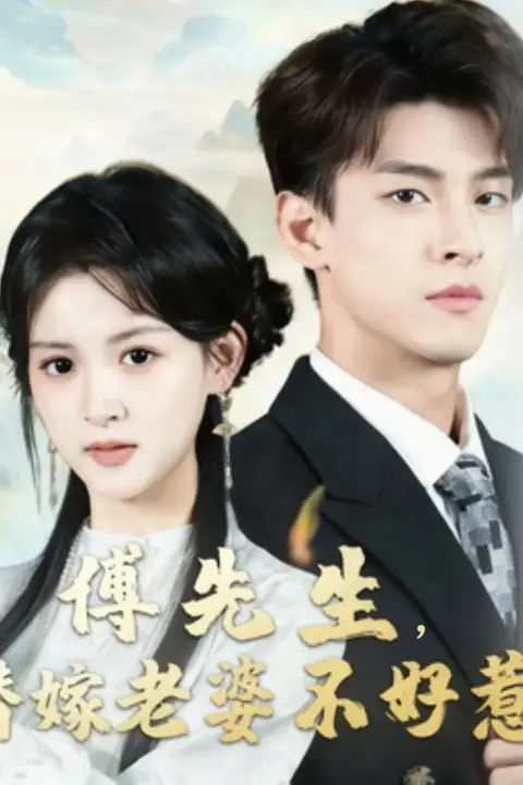 《傅先生替嫁老婆不好惹》封面