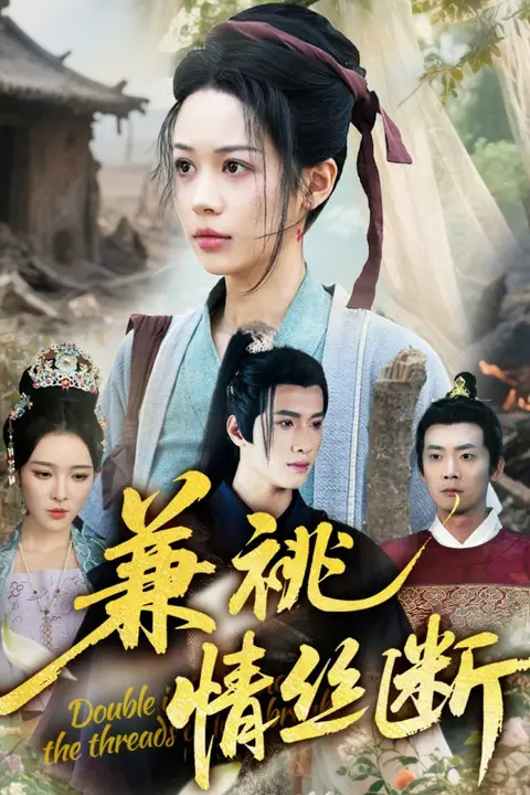 《兼祧情丝断》封面
